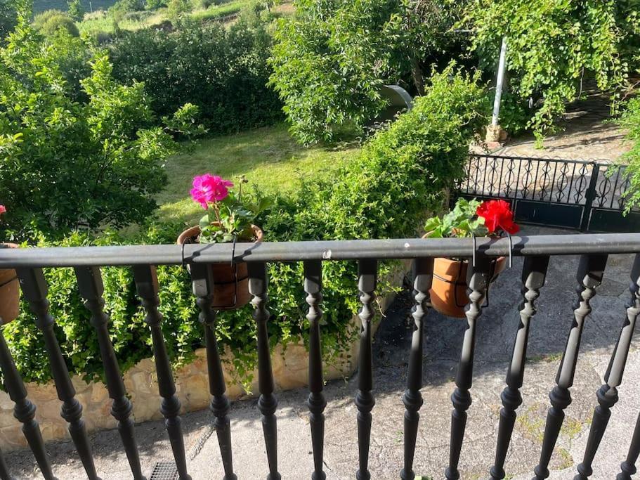 Casa A Boga Ribeira Sacra Villa Abeleda Bagian luar foto
