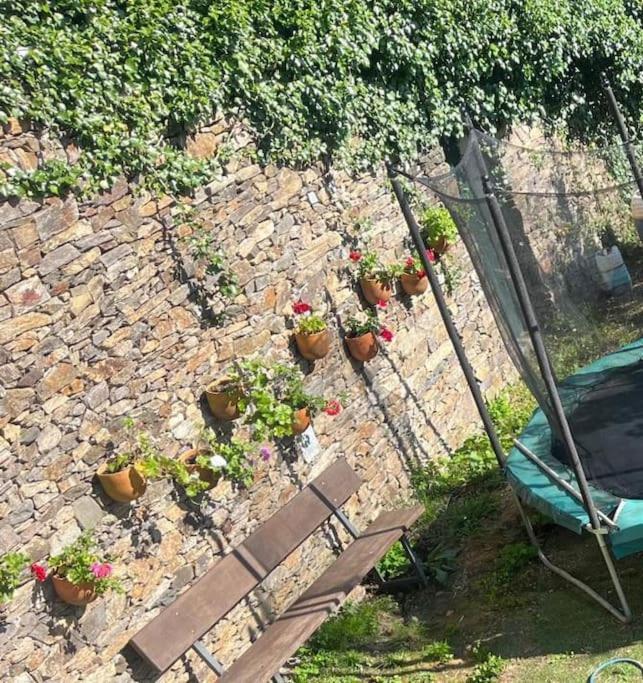 Casa A Boga Ribeira Sacra Villa Abeleda Bagian luar foto