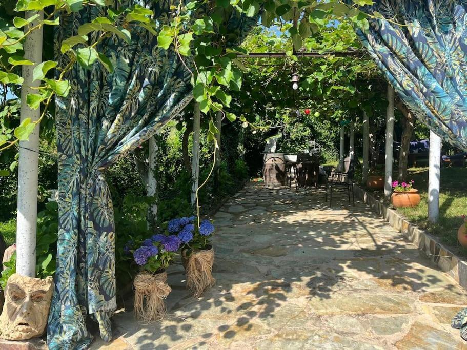 Casa A Boga Ribeira Sacra Villa Abeleda Bagian luar foto