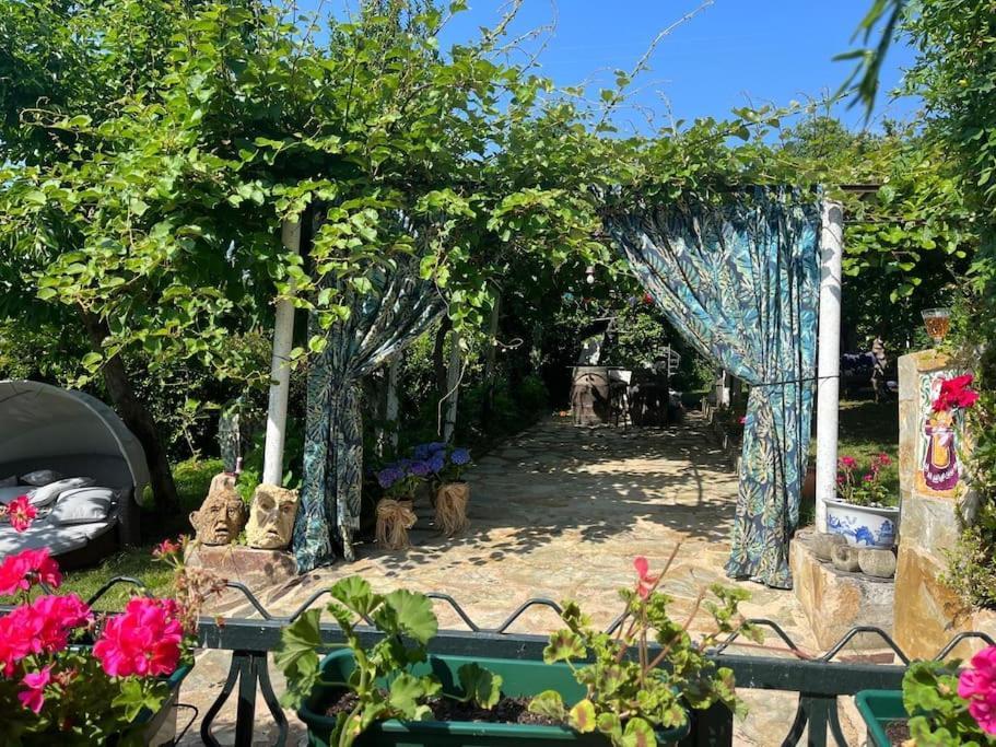 Casa A Boga Ribeira Sacra Villa Abeleda Bagian luar foto
